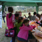 Trófeaszemle és szarvasbőgő élménytúra