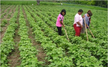 Start Plusz támogatásban részesül Gyulaj és Nagyszokoly
