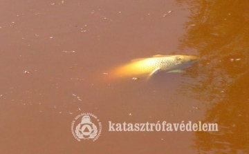 Kölesdnél tart a szennyezési hullám