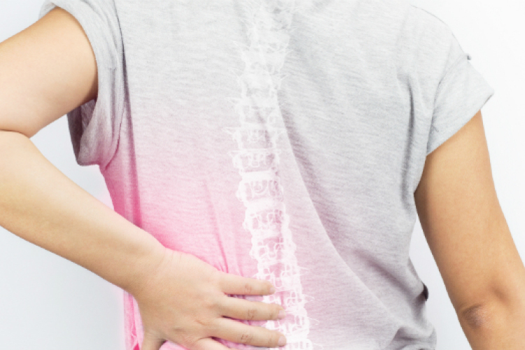 Előadásra hívja az érdeklődőket a Látássérültek Esélyegyenlőségéért Egyesület 