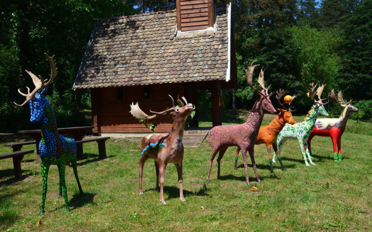 Gazdára találnak a kifestett dámszarvasok