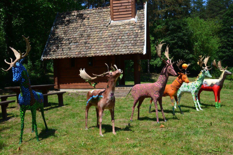Gazdára találnak a kifestett dámszarvasok