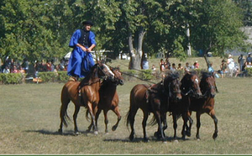 55. Tamási Lovasnapok