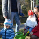 Faültetés a 2015-ben született gyermekek tiszteletére