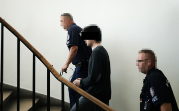 Letartóztatta a hozzátartozóit megkéselő gönyűi fiút a bíróság