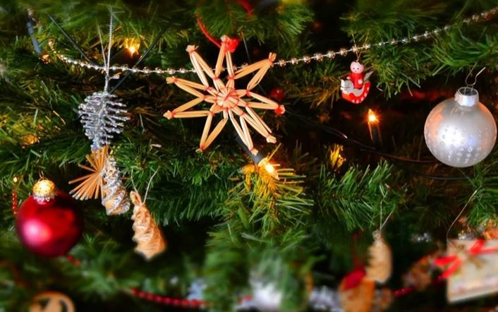 Karácsonyfák érkeztek a vármegye mentőállomásaira 