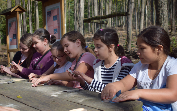 Erdők Hete a Tamási Vadasparkban