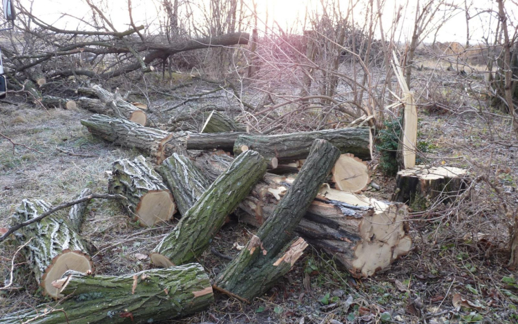 Vadmegfigyelő kamera buktatta le a tolvajokat