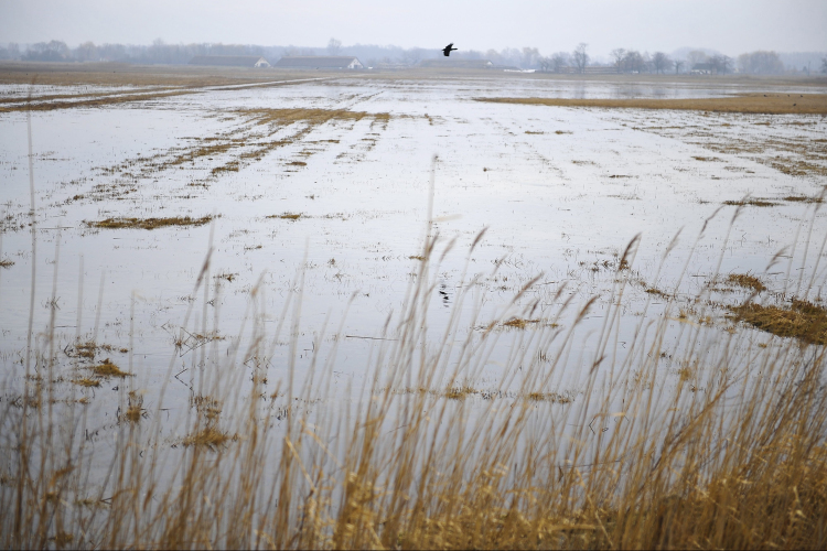 Belvíz mellett sok helyen már az árvíz miatt is másodfokú a készültség