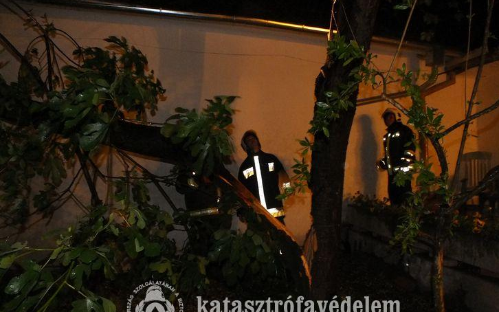 Több mint félszáz vonulás a viharos erejű szél miatt 