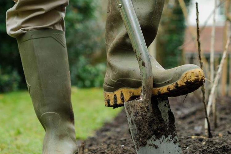 Nyílt napot tartanak Nagyszékelyben