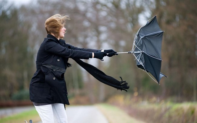 Elsőfokú riasztás adtak ki viharos szél veszélye miatt