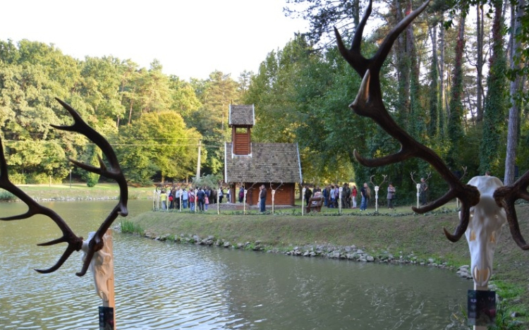 Gímtrófea szemle és szarvasbőgő élménytúra a parkerdőben