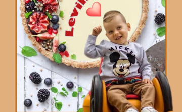 Leviért mozdulnak meg a tamásiak 