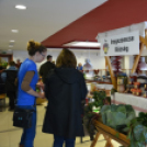 Közfoglalkoztatási konferencia