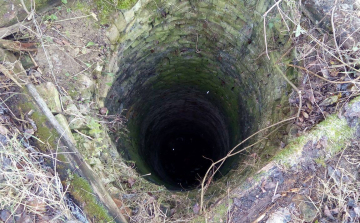 Bajba jutott kutyához siettek a tűzoltók