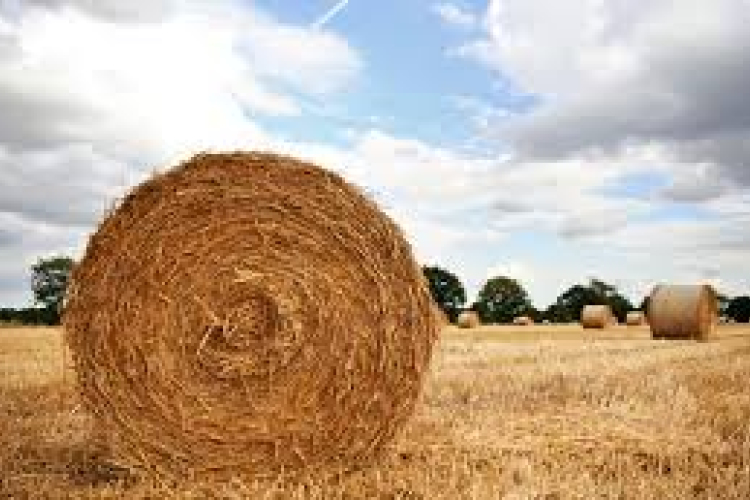 Meghívó agrárfórumra