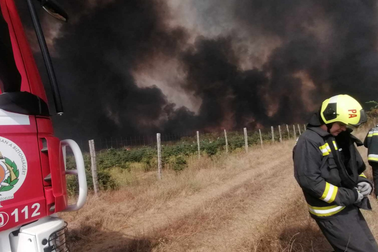 Erdőtűz Vasban - A tűzoltóknak sikerült elfojtaniuk a lángokat, az utómunkálatok zajlanak
