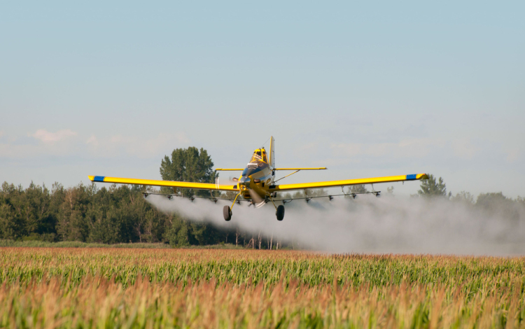 Reszkethetnek a szúnyogok, elsejétől elkezdődött a gyérítésük