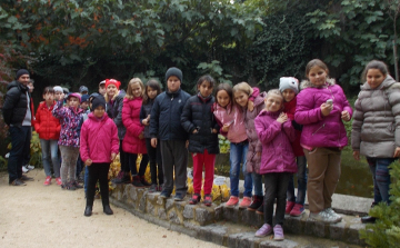 Rendhagyó környezetismeret óra