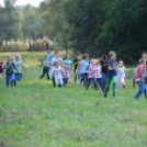 Trófeaszemle és szarvasbőgő élménytúra