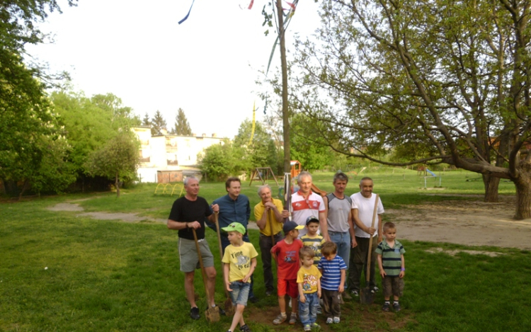 Májusfa állítás az oviban