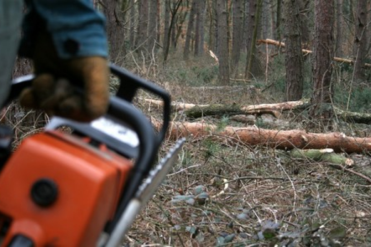 Falopás Kisszékelyben