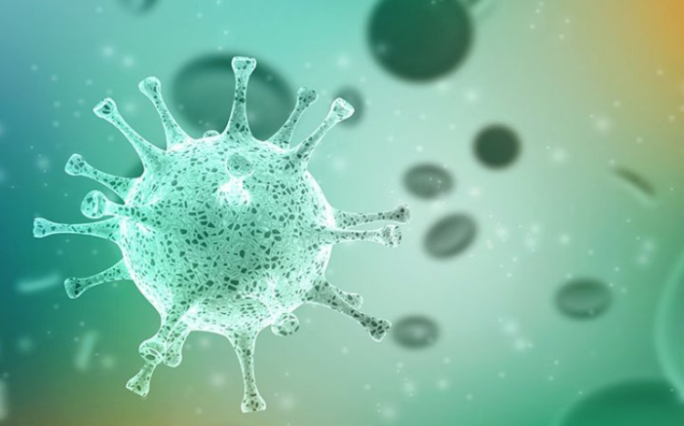 Nincs igazolt koronavírus fertőzött a megyében