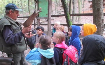 Az erdő lakóinak életével ismerkedtek a diákok