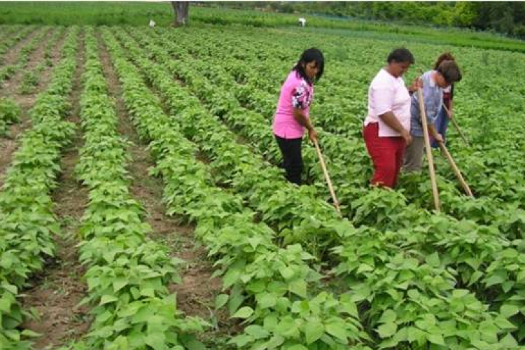 Start Plusz támogatásban részesül Gyulaj és Nagyszokoly