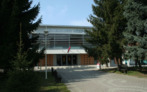 Az összevonás mellett szavazott a testület