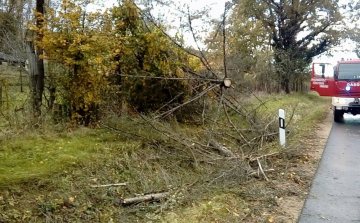 Sok munkát adott a Nárcisz névre keresztelt vihar a Tolna megyei tűzoltóknak
