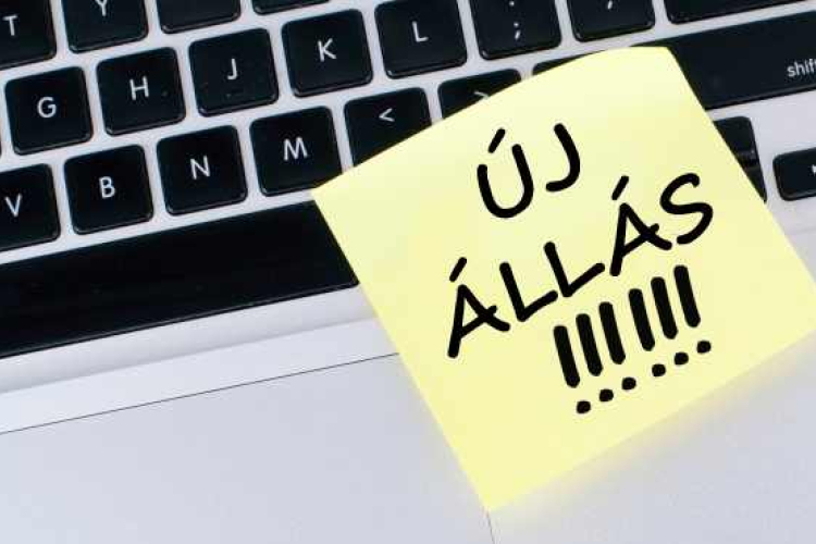 Aktuális állásajánlatok