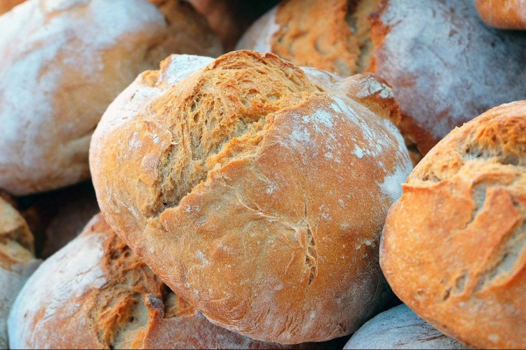 Tolna megyében is gyűjtik a búzát a Magyarok kenyeréhez