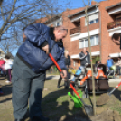 Faültetés a 2015-ben született gyermekek tiszteletére